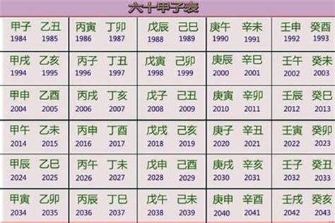 己巳年1989 2023月份五行